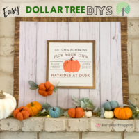 Diy Farmhouse Pumpkin Sign Dollar Tree Sign Best Easy Craft Decor Ideas