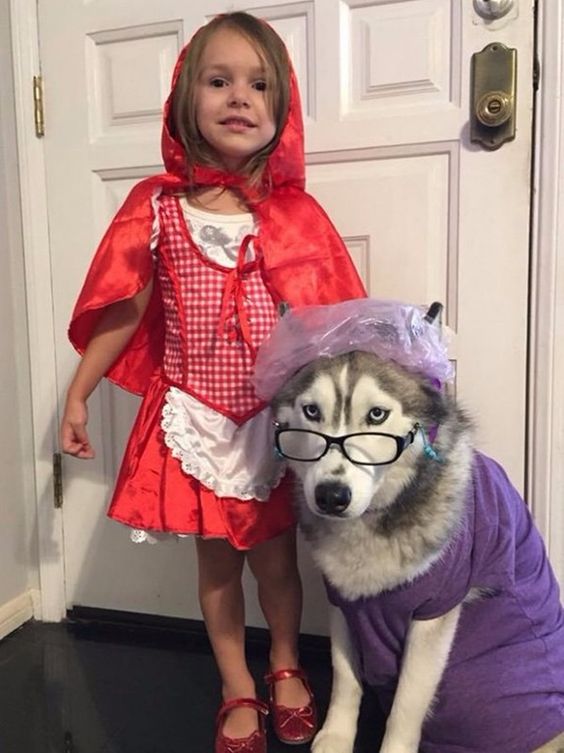 Red Riding Hood costume with Wolf grandma husky, cute Halloween costumes for kids