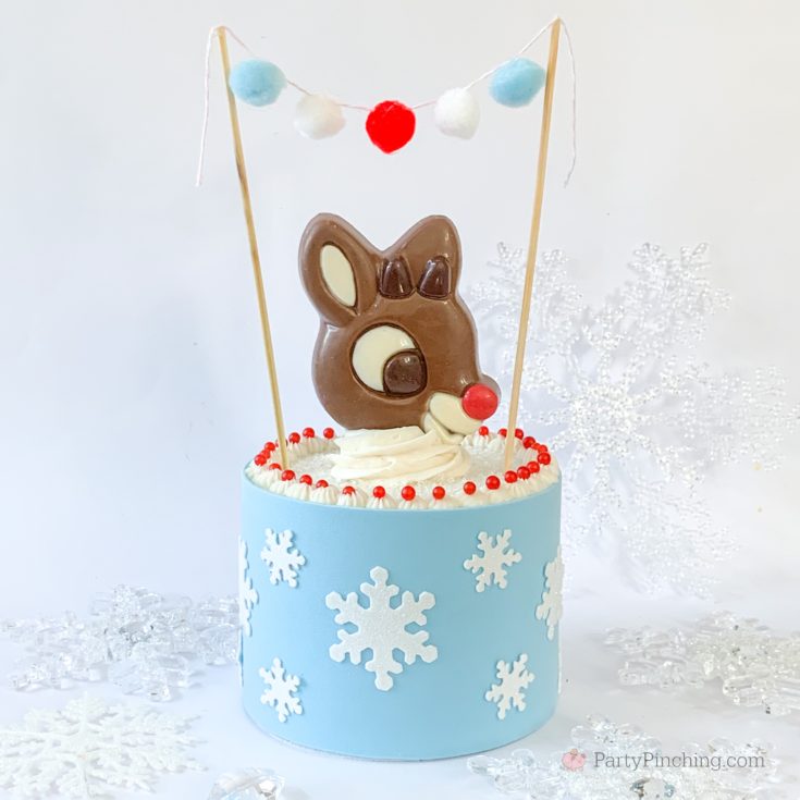 Rudolph Cake, Rudolph The Red Nosed Reindeer Cake Ideas, Rudolph Movie Party Ideas, Reindeer Cake, Best Christmas Cake Recipe