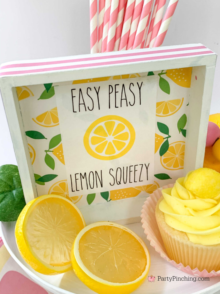 Best Dollar Tree DIY craft ideas, Best Dollar Tree DIY summer ideas, Best Dollar Tree DIY Farmhouse craft decor, best Dollar Tree DIY tier tray, Dollar Tree Farmhouse, Dollar Tree Lemonade, Lemonade tier tray, Watermelon tier tray, inexpensive cheap Dollar Tree DIYS, Dollar General craft ideas, Rae Dunn Dollar Tree