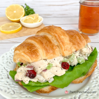 best chicken salad ever, water chestnut and cranberry chicken salad, best chicken salad sandwich recipe, dried cranberry craisins chicken salad, chicken salad with water chestnuts, best Savannah chicken salad, best southern chicken salad, best southern grandma mom chicken salad sandwich recipe