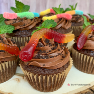 Pudding Filled Dirt Cupcakes, gummy worm cupcakes, sour worm dirt cupcake, oreo pudding cupcakes, best easy dirt cupcake cups, easy chocolate cupcakes, instant chocolate pudding dirt cupcakes