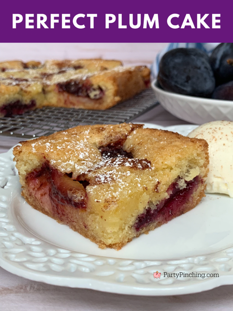 Plum Coffee Cake - The Floured Table - With Streusel Topping