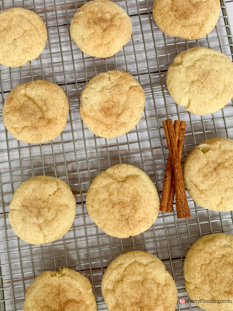 perfectly pillowy soft snickerdoodles, best ever snickdoodle recipe, easy best fast snickerdooles, cinnamon sugar cookies, best fall dessert recipe best snickerdoodles you will ever eat