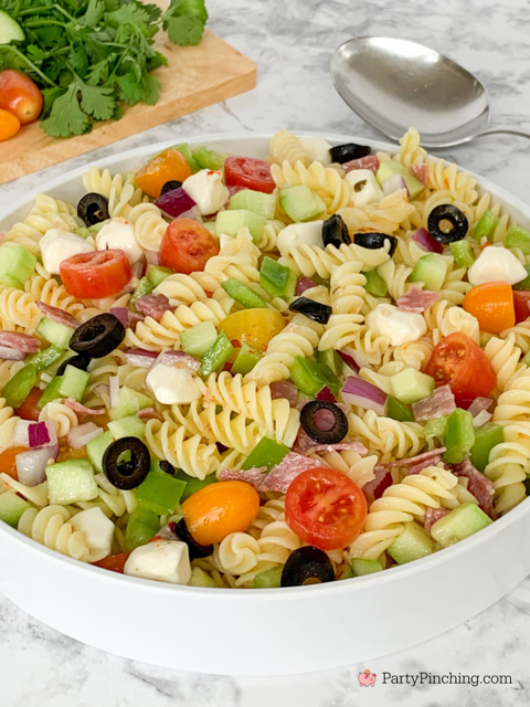 absolute best pasta salad, quick and easy pasta salad, best pasta summer salad, 20 minute pasta salad, suddenly salad, cucumber bell pepper rotini olive red onion tomato fresh mozzarella gluten free Italian dressing genoa salami gluten free pasta salad, picnic pasta salad for a crowd potluck