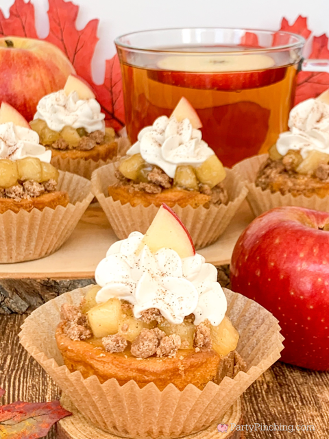Drake's Cakes Apple Cider Coffee Cake, no bake coffee cake, fall autumn coffee cake, apple cider coffee cake, apple pie coffee cake apple cider frosting, individual apple cider coffee cakes for fall autumn