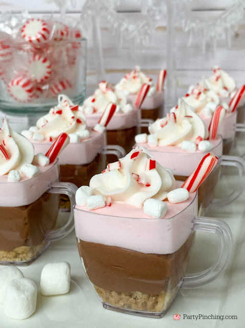 Peppermint Hot Cocoa Cheesecake Cups, Sunbelt Bakery Peppermint Chewy Granola Bars, easy best Christmas holiday peppermint hot cocoa recipe, no bake peppermint hot chocolate cheesecake cups, mini dessert for Christmas no bake for a crowd