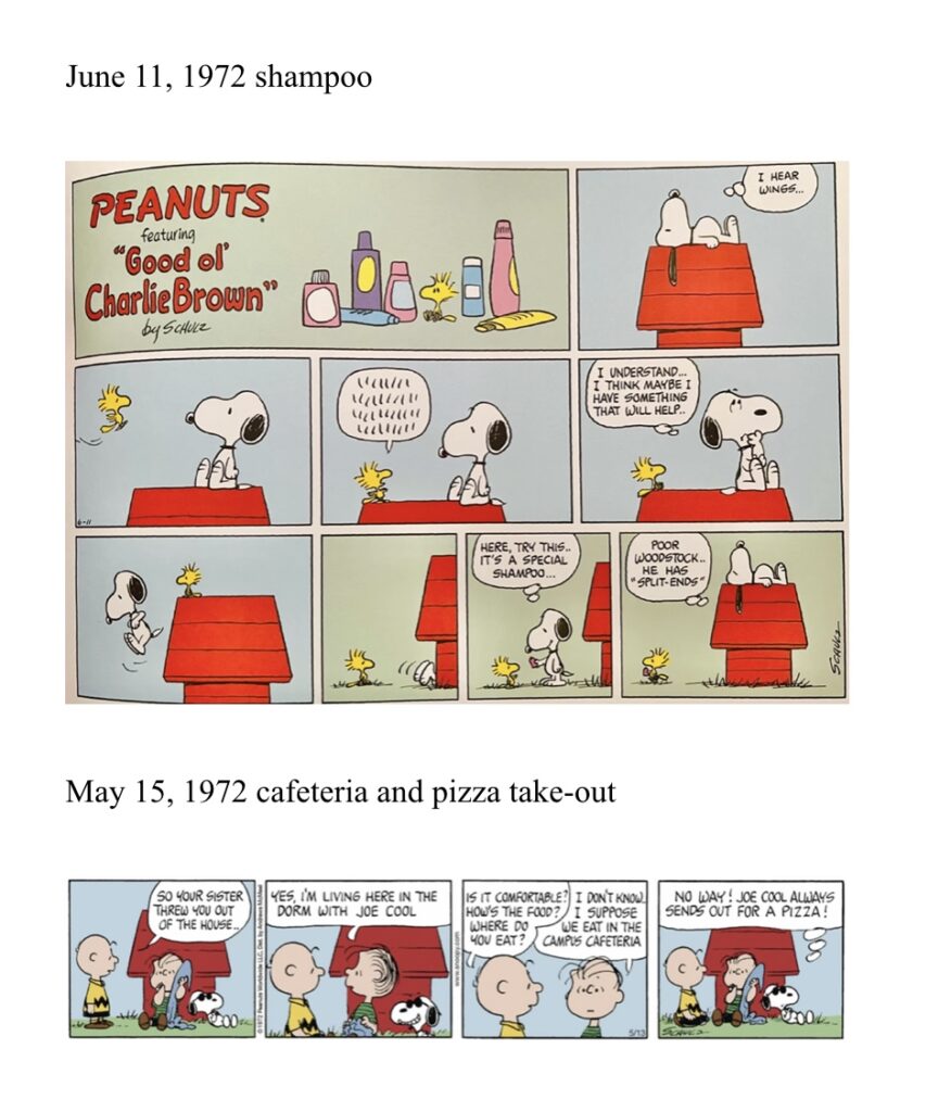 Snoopy doghouse interior comic strip