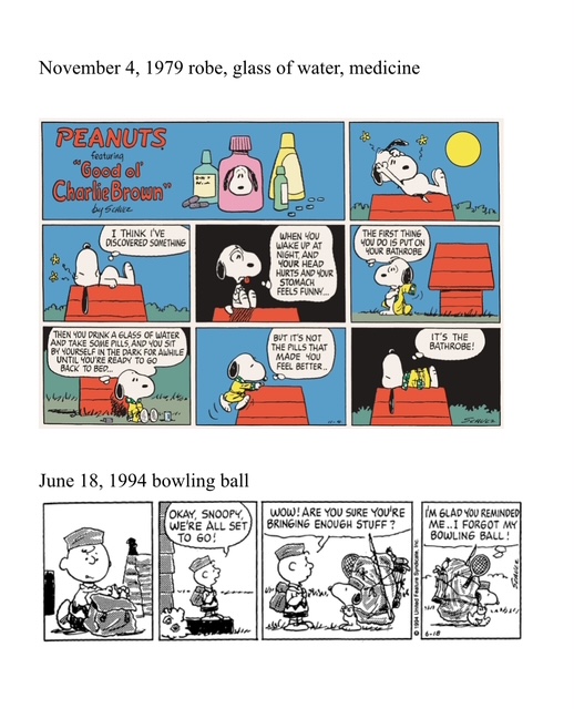 Snoopy doghouse interior comic strip