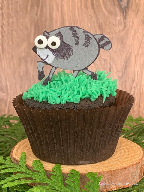 Jimothy cupcake, Jimothy the raccoon, Jimothy short spine Seattle raccoon internet sensation, viral video of Jimothy the raccoon