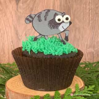 Jimothy cupcake, Jimothy the raccoon, Jimothy short spine Seattle raccoon internet sensation, viral video of Jimothy the raccoon